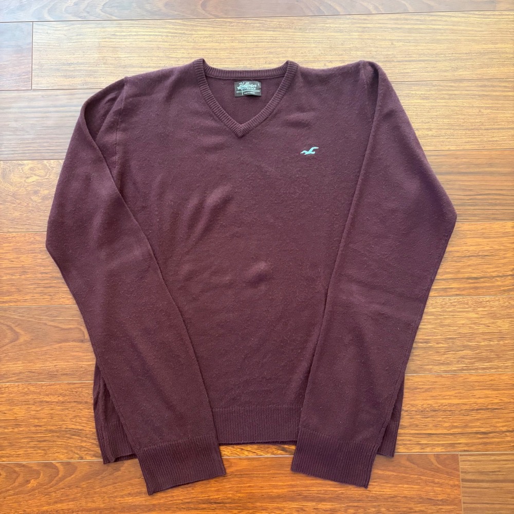 Hollister Mens Sweater Large Burgundy Maroon V-Neck Seagull Logo Knit Pullover L